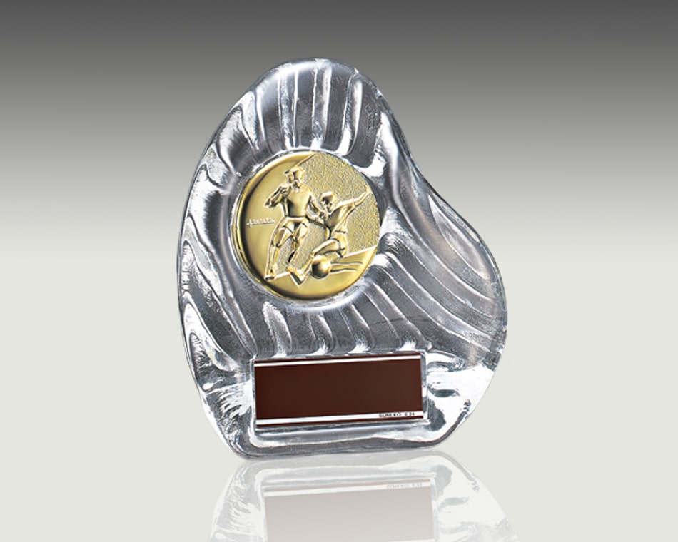 メダル選択式ガラス盾：YCZ-4956